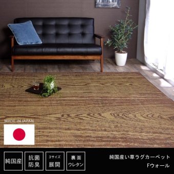夏ラグ 夏用カーペット い草ラグ おしゃれ 国産 カーペット 『Fウォール』 約140×200cｍ