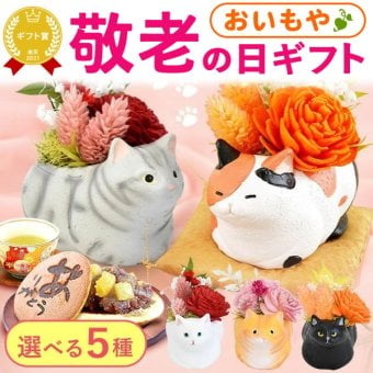 【まだ間に合う】 敬老の日 すぐ贈れるギフト 即日発送 誕生日 プレゼント ギフト 花 プリザーブドフラワー フラワーアレンジメント 薔薇 バラ あじさい 猫 ネコ 猫グッズ 猫好き インテリア 実用的 おしゃれ 可愛い どら焼き 送料無料 スイーツ お菓子 和菓子 ギフトセット 母 実母 自分の母 義母 妻 40代 50代 60代 70代 花セット 花とお菓子 おいもや
