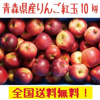 青森県産 りんご　訳あり 紅玉　10ｋｇ　送料無料！