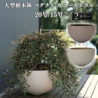 植木鉢 おしゃれ 大型 20号 15号 丸 ラウンド 半球 浅鉢 ボウル カラー KONTON コントン マグナス カラーズ ボウル ファイバーポリストーン 軽量 底穴あり 屋外 M L オートミール キャメル 観葉植物 多肉植物 北欧 和モダン モダン ナチュラル プランター ベランダ 玄関