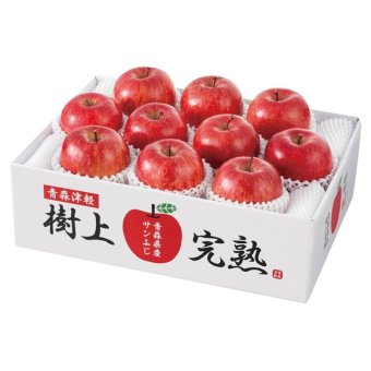 お歳暮・冬ギフト 青森県産 樹上完熟サンふじりんご (H-A4S) ※送料無料(北海道・沖縄・離島への配送不可)