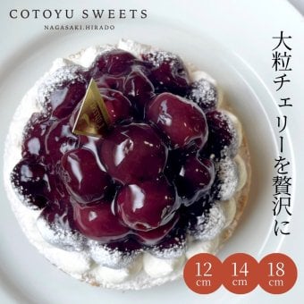敬老の日 ハロウィン 御歳暮 お歳暮 早割 送料無料 ダークチェリータルト 14㎝ 4〜6名様用 フルーツタルト パーティー 大人 子供 記念日 お祝い 内祝 出産祝 お礼 お返し 人気 お取り寄せ お菓子 ケーキ 送料無料 翌日お届け お取り寄せスイーツ TVで紹介 熨斗対応 パーソナルラッピング対応 詰め合わせ 高級 おしゃれ 可愛い 冷凍発送
