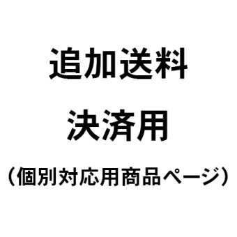  追加送料決済用（個別対応）