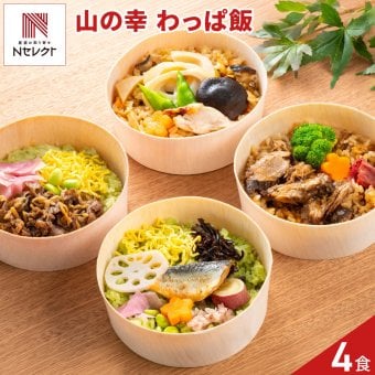 岐阜 一力屋 飛騨 美濃白川 山の幸 わっぱ飯 詰め合わせ 4種セット 弁当 ごはんもの レンチン 温めるだけ 岐阜県産 米