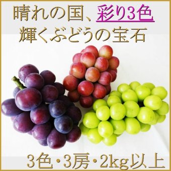 ギフト 【晴れの国】【輝くぶどうの宝石】【彩り3色・3房】【1房700ｇ以上 計2kg以上】【岡山】【葡萄】
