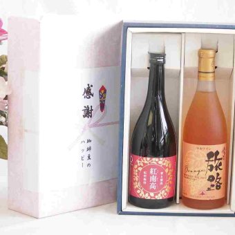 実りの秋の贈り物 感謝の贈り物ボックス 香る南高梅酒 紅南高と国産ワインセット(おたる醸造 旅路orange 白ワイン やや辛口(北海道)720ml紅南高 紀州梅酒(和歌山県)720ml