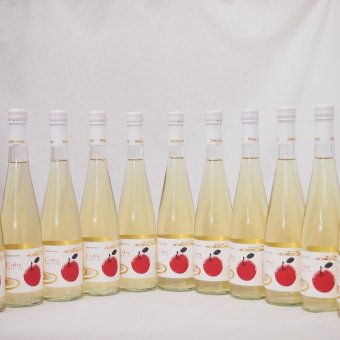 11本セット(cidreりんご発泡酒) 500ml×11本