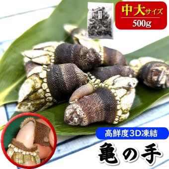 亀の手（冷凍）中～大サイズ　500ｇ　送料無料　※北海道、東北、沖縄は送料別途加算