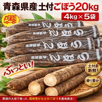 青森県産 土付 ごぼう 2L～3L 20kg
