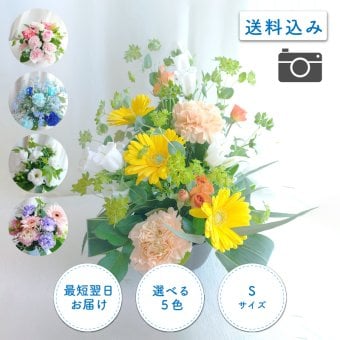 【ペットのお悔やみ】【 選べる5色】【Sサイズ】【クール便】【送料込み】フラワーアレンジメント おまかせ制作 最短翌日お届け  日時指定可 | ペット お供え 犬 猫 お悔やみ 虹の橋 ペット供養 お供え花 お悔やみ花 供花 四十九日 命日に贈るフラワーアレンジメント