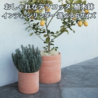 植木鉢 おしゃれ 大型 テラコッタ 素焼き シリンダー KONTON コントン インティ IN-002T XXL XL L M S XS 約16号 15号 約12号 約10号 約8号 7号 底穴あり 屋外 テラス 庭 玄関 観葉植物 多肉植物 サボテン シンボルツリー オリーブ ハーブ 果樹 北欧 ナチュラル シンプル