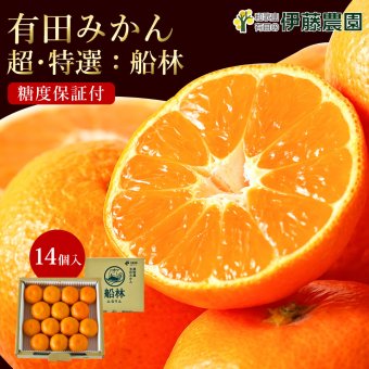 みかん 超特選 有田みかん 送料無料 小玉 高級 糖度12度以上 光センサー選果 船林 ふなりん S M 12～14個 和歌山 手詰め ご当地 お贈答 結婚 出産 内祝い 誕生日プレゼント ギフト 誕生日 結婚祝い 出産祝い 内祝い ギフト