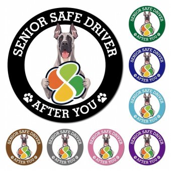 カーサイン 高齢者マーク SENIOR SAFE DRIVER グレートデン マグネット 強力 直径13cm 肉球 日本製 車 ステッカー