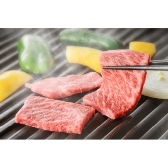 高橋畜産 蔵王和牛・蔵王牛焼肉食べ比べ  ／セット・詰め合わせ 牛肉 精肉・肉加工品 食品 敬老の日 プレゼント ギフト お彼岸 お供え 秋 送料無料 取り寄せ グルメ 産地直送 センター スイーツ お菓子 高級 ご飯 食品 飲料 おかず つまみ おやつ