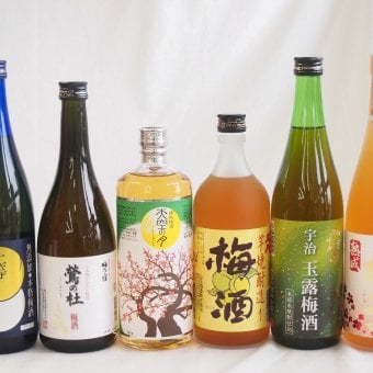 豪華梅酒6本セット(芋焼酎仕込五代梅酒(鹿児島) 宇治玉露梅酒(京都) 高千穂産梅使用熟成梅酒 樽熟梅酒天空の月(大分) 梅酒 鶯の杜(奈良) 無添加上等梅酒(鹿児島)) 720ml×6本