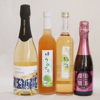 梅酒特集4本セット(薩摩スパークリングにごり梅酒梅太夫(鹿児島) 京都フルーツ白梅スパークリングワインやや甘口(京都) 奥の松純米酒ベースうめとろ(福島) 百助梅酒(大分)) 375ml×1本 750ml×1本 500ml×2本