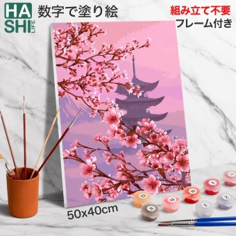 数字塗り絵 大人の塗り絵 ナンバーペイント数字入り 塗り絵 脳トレ 趣味 おうち時間 絵画キット アート 癒し プレゼント 誕生日 母の日 父の日 敬老の日 【無料ラッピング】【送料無料】