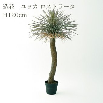 観葉植物 造花 ユッカ ロストラータ BROWN 全高約120cm 大型 フェイクグリーン 本物そっくり おしゃれ インテリア 人工観葉植物 アーティフィシャルグリーン オフィス 店舗 ホテル 開店祝い 室内 ブルー フェイク