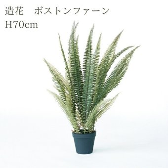 観葉植物 造花 ボストンファーン グリーン BROWN 全高約70cm 卓上・小型 フェイクグリーン 本物そっくり おしゃれ インテリア 人工観葉植物 アーティフィシャルグリーン オフィス 店舗 ホテル 開店祝い 室内 ミニ シダ タマシダ フェイク