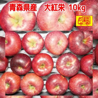 青森県産りんご　訳あり　大紅栄（だいこうえい）　10kg　24-40玉程度　希少品種！　送料無料！