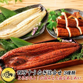 ウナギ 国産 ギフト 四万十うなぎ 詰合せ 3種類セット 日本最後の清流、四万十川の恵みで育った自慢のウナギ 【うなぎ/鰻/詰め合わせ/国内産/土用の丑/蒲焼き/素焼き/白焼き/贈答/プレゼント】