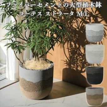 植木鉢 おしゃれ 大型 14号 11号 L M サイズ 鉢カバー KONTON コントン コーテス ストラータ 丸型 ラウンド ファイバーセメント セメント 屋外 室内 高級 北欧 モダン ナチュラル 観葉植物用 シンボルツリー サボテン 多肉植物 特大 玄関 プランター Wグラデ Sグラデ