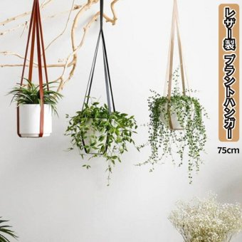フェイクレザー 革 プラントハンガー 吊り下げ 屋内 植物 マクラメ 観葉植物 吊り下げ ロープ ハンギングプランター メール便 送料無料
