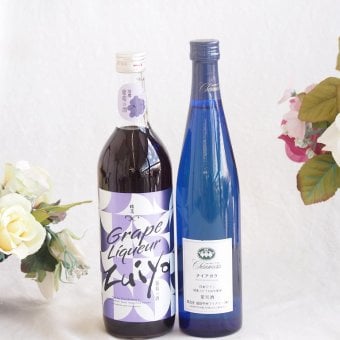 みずみずしくジューシーな風味の葡萄酒と国産ワインセット(シャンモリナイアガラ白ワイン (山梨県)500ml瑞鷹葡萄の酒10度(熊本県)720ml