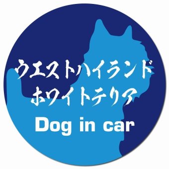 Dog in car ウエストハイランドホワイトテリア 毛筆書体 ブルー カーサイン 車 マグネットステッカー 犬 マグネット 強力 直径13cm 丸型 おしゃれ かわいい ドラレコステッカー 安全対策 危険運転 煽り運転 アニマル 動物 犬種別 屋外 防水 屋内