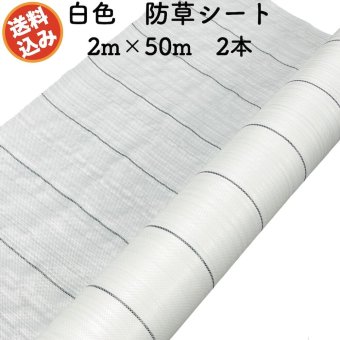 防草シート 白色（サンホワイト） 2m×50m 2本セット 抗菌剤入り UV剤入り  反射シート 草抑え 除草シート 雑草防止シート 雑草対策 農業資材 太陽光 環境制御 防ぐ 作物 野菜 果物 畑 農業 農園 農家 園芸 マルチング 温度抑制