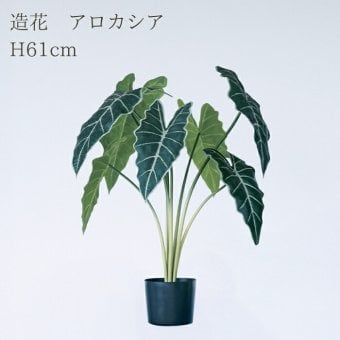 観葉植物 造花 アロカシア BROWN 全高約61cm 卓上・小型 フェイクグリーン 本物そっくり おしゃれ インテリア 人工観葉植物 アーティフィシャルグリーン オフィス 店舗 ホテル 開店祝い 室内 ミニ クワズイモ フェイク