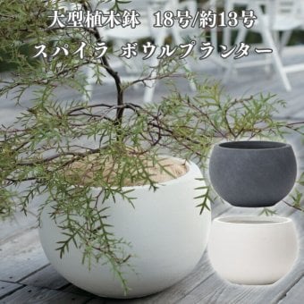 植木鉢 おしゃれ 高級 18号 13号 大型 丸型 丸 KONTON ファイバークレイ スパイラ ボウルプランター 底穴あり 軽量 観葉植物 白 灰 ボウル 特大 セメント グラスファイバー 多肉植物 アガベ シンボルツリー 寄せ植え 北欧 和モダン ナチュラル 屋外 玄関 テラス ベランダ
