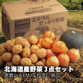 【出荷時期10/1頃～11/30頃まで(受付11/20終了)】北海道野菜3点セット（送料無料 プレゼント グルメ 贈り物  御祝 内祝い 景品 賞品 ご褒美 誕生日 出産祝い 結婚 上司 男 女 友達 新築 引越 送別会 定年 退職祝い 還暦  産地直送 じゃがいも ジャガイモ 男爵イモ たまねぎ タマネギ ギフト お歳暮 寒中見舞い）