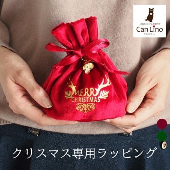 クリスマス ラッピング 巾着 バッグ 袋 リボン 贈り物 サプライズ 記念日 彼女 彼氏 プレゼント おしゃれ