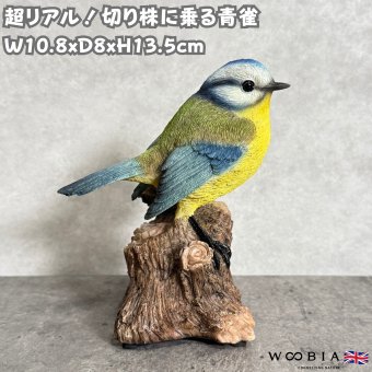 置物 鳥 青雀 高さ13.5cm woobia ウービア アオガラ 野鳥 リアル おしゃれ 玄関 インテリア オブジェ ガーデン 北欧 ナチュラル 小鳥 動物 アニマル 癒し 鳥好き 出窓 棚 プレゼント ギフト バードウォッチング