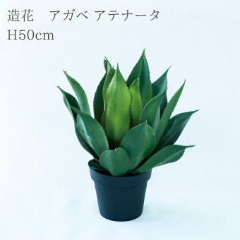 観葉植物 造花 アガベ アテナータ BROWN 全高約50cm 卓上・小型 フェイクグリーン 本物そっくり おしゃれ インテリア 人工観葉植物 アーティフィシャルグリーン オフィス 店舗 ホテル 開店祝い 室内 ミニ 多肉植物 フェイク