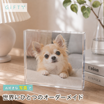 チワワ ガラスブロック 愛犬 パグ うちの子記念日 ペット メモリアル 愛猫家 高級 飼い主 記念品 贈り物 名入れ 小型犬 ペットグッズ オーダーメイド ギフト 犬 ペット写真 メモリアルグッズ うちの子 肉球 トイプードル 虹の橋 写真入り ペットロス 感謝 プレゼント メモリアルフォトフレーム メモリアルプレート クリスタル 誕生日 フォトフレーム オリジナル 写真立て おしゃれ【c01】