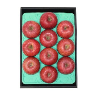 お歳暮・冬ギフト 信州サンフジりんご3kg (YO-627) ※送料無料(北海道・沖縄・離島への配送不可)