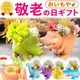 【まだ間に合う】 敬老の日 すぐ贈れるギフト 即日発送 ギフト プレゼント 花 プリザーブドフラワー 動物 恐竜 ティラノサウルス グッズ 置物 かわいい スイーツ お菓子 洋菓子 花とお菓子 60代 70代 80代 90代 おじいちゃん おばあちゃん 孫 孫から 送料無料 おいもや