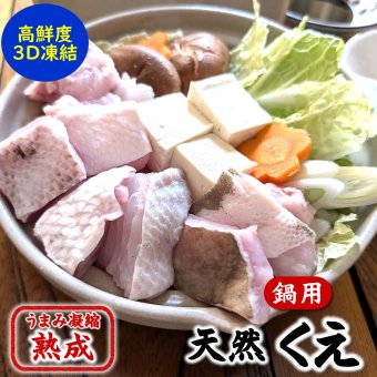 幻の高級魚　天然本クエ鍋セット（冷凍）約500ｇ（身とアラ）約2～3人前  大きなクエ使用 　送料無料　※北海道、東北、沖縄は送料別途加算 本クエ くえ 九絵 アラ クエ 魚 クエ鍋 海鮮鍋 高級魚
