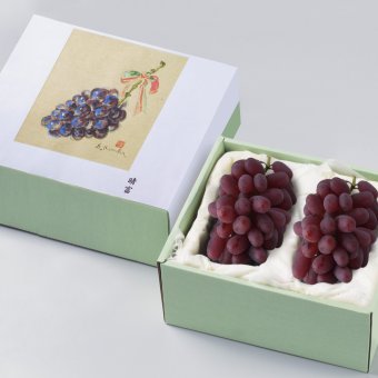 紫苑（約600g×2房）【送料無料】_GM422-210__フルーツ/果物/お歳暮