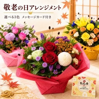 敬老の日 花 アレンジメント 花 選べる色合い 秋のお花 誕生日 秋 送料無料 アレンジメント アレンジ 選べる色合い ラッピング無料 お祝い 誕生日 開業祝い 移転祝い　昇進　就任　還暦　フラワーギフト プレゼント お花のプレゼント