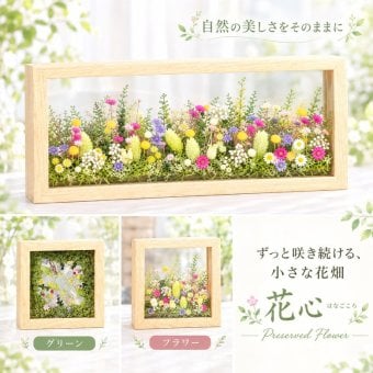 ギフト プレゼント 花 プリザーブドフラワー 洋風 花心／送料無料 プレゼント ギフト 出産祝い 結婚祝い 結婚記念日 誕生日 プロポーズ 退職祝い 引越し祝い バラ 花 おしゃれ 電報 祝電 還暦祝い 長寿祝い サプライズ 額縁 フレーム