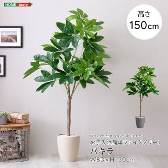 お手入れ簡単 フェイクグリーン パキラ Mサイズ(150cm)