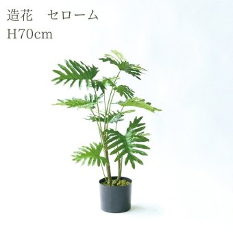 観葉植物 造花 セローム BROWN 全高約70cm 卓上・小型 フェイクグリーン 本物そっくり おしゃれ インテリア 人工観葉植物 アーティフィシャルグリーン オフィス 店舗 ホテル 開店祝い 室内 ミニ フィロデンドロン フェイク