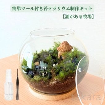 テラリウムキット 【湖がある牧場】 コケテラリウム おしゃれ 贈り物 ガラスボウル コケインテリア 母の日ギフト 手作りキット 創作キット 苔インテリア 苔リウム コケリウム 作成キット お誕生日 おうち時間 ステイホーム 敬老の日 ワークショップ 父の日 イベント