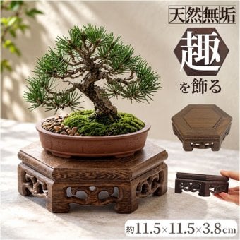 花瓶 敷き 木製 通販 花 台 スタンド 六角形 木製置物台 無垢材スタンド フラワースタンド 盆栽飾り台 花台 ディスプレイ台 観葉植物置き台 床の間飾り アンティーク風置台 骨董品台 オブジェスタンド インテリア 雑貨 室内用