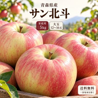 青森県産 りんご サン北斗 大玉 12～16玉 5kg 家庭用 送料無料