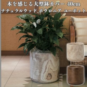 鉢カバー おしゃれ 大型 13号 Lサイズ 植木鉢 KONTON コントン ナチュラルウッド ポウロニア ユーポット 丸型 ラウンド 木製 天然木 室内 屋内 高級 北欧 モダン ナチュラル 観葉植物用 シンボルツリー サボテン 多肉植物 特大 玄関 プランター 底穴なし バーニッシュ