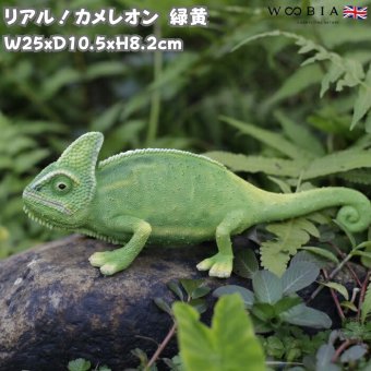 置物 カメレオン 緑黄 幅25cm woobia ウービア リアル 爬虫類 おしゃれ 玄関 インテリア オブジェ ガーデン トカゲ リザード 動物 アニマル 面白い 個性的 存在感 かっこいい 爬虫類好き プレゼント ギフト 男性 二度見